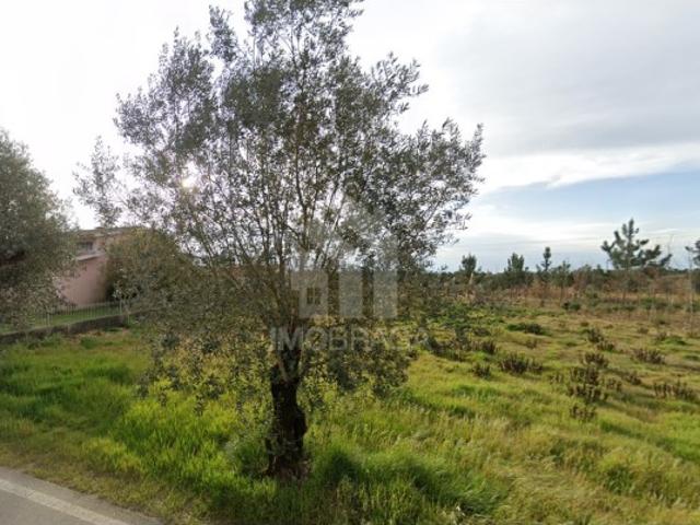 Terreno venda em Anadia, Aveiro