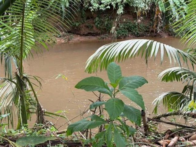 Terreno venda em Rocio, Morretes