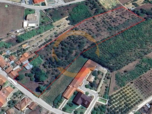 Terreno venda em Pedreira de Vilarinho, Anadia