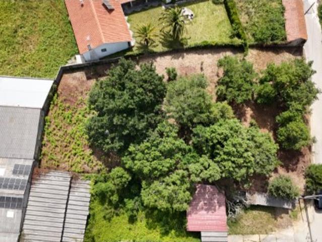 Terreno venda em Alcobaça, Leiria