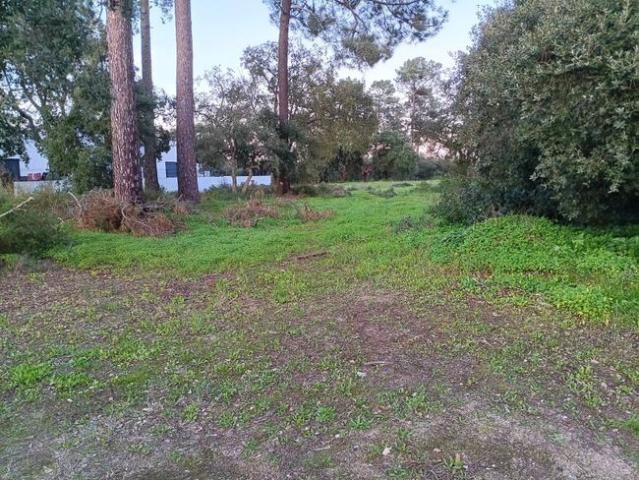 Terreno venda em Azeitão (São Lourenço e São Simão), Setúbal