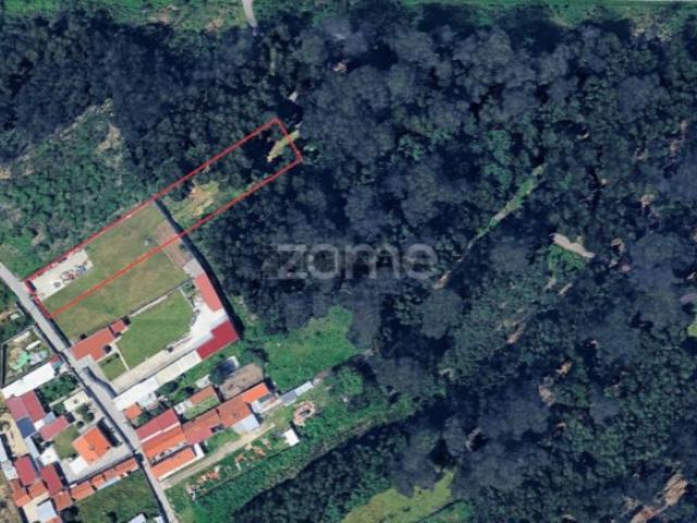 Terreno venda em Sedouros, Bunheiro
