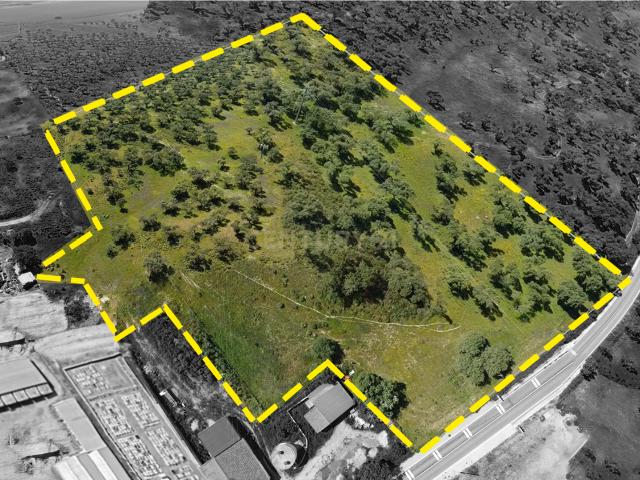 Terreno venda em Montemor-o-novo, Évora