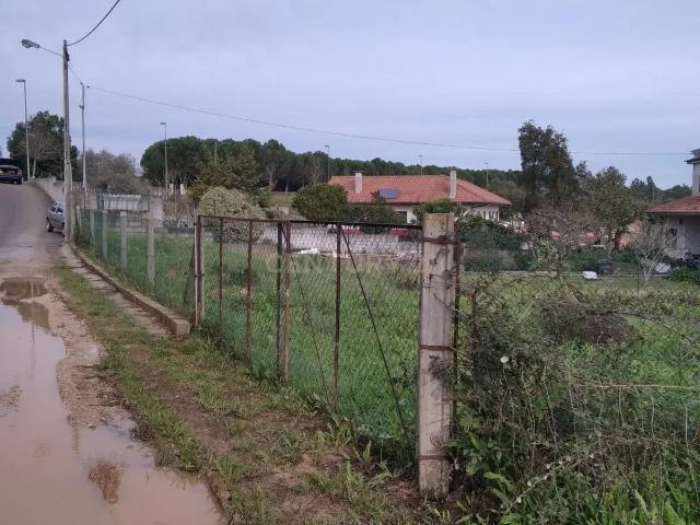 Terreno venda em Abrantes (São Vicente e São João) e Alferrarede, Abrantes