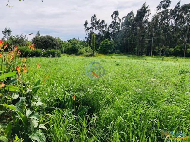 Terreno venda em Ovar, Aveiro