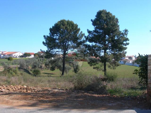Terreno venda em Castelo Branco, Cumeada
