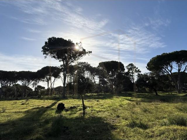 Terreno venda em Castelo, Sesimbra