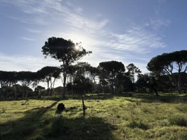 Terreno venda em Sesimbra, Setúbal