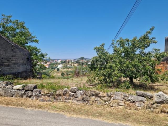 Terreno venda em Vale de Pedras, Soure
