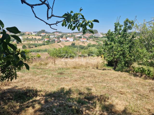 Terreno venda em Cabeça Carvalha, Soure
