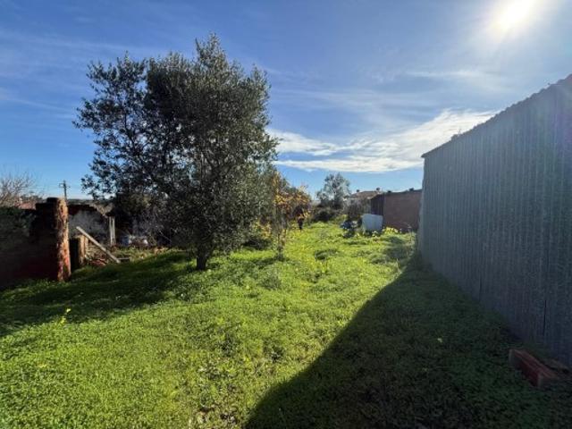 Terreno venda em Torres Novas, Santarém