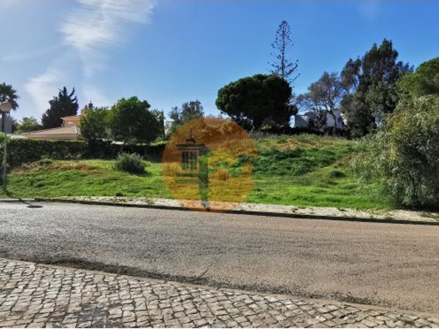 Terreno venda em Mato Serrão, Carvoeiro