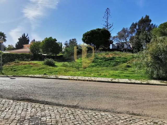 Terreno venda em Mato Serrão, Carvoeiro