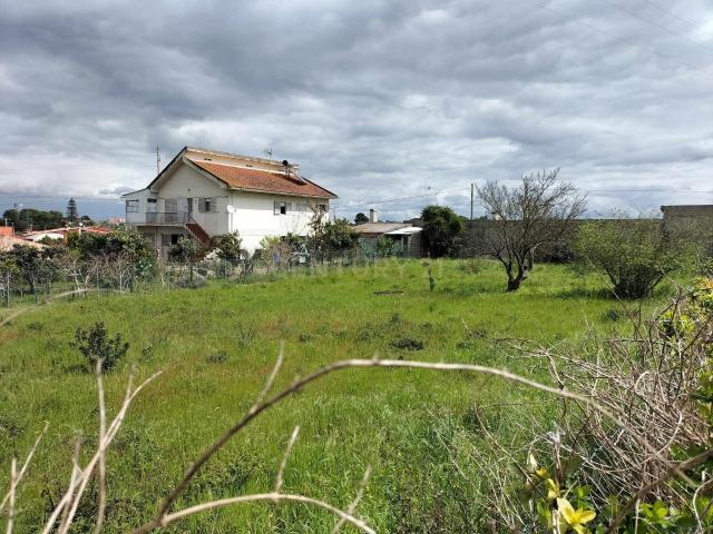 Terreno venda em Cartaxo, Santarém