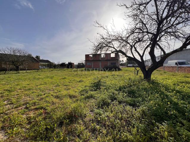 Terreno venda em Quinta Lobateira, Fernão Ferro