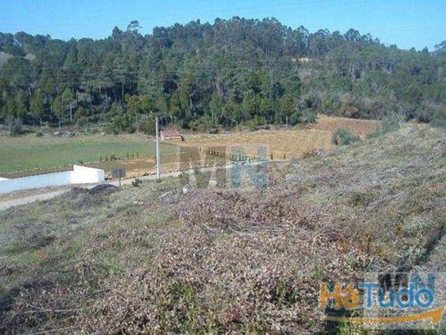 Terreno venda em Coimbrã, Coimbra
