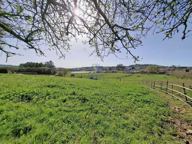 Terreno venda em Alcobaça, Leiria