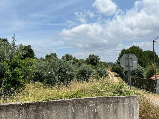 Terreno venda em Abrantes, Santarém