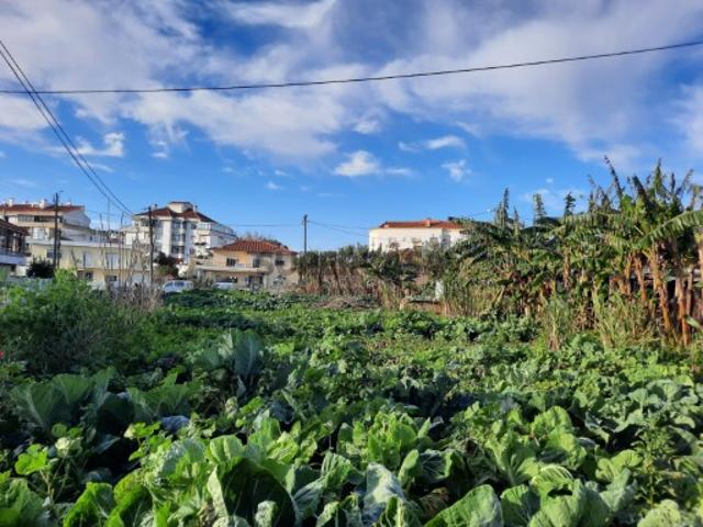 Terreno venda em Sintra, Lisboa