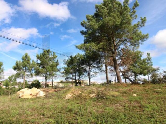 Terreno venda em Mafra, Lisboa