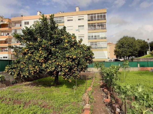 Terreno venda em Sintra, Lisboa