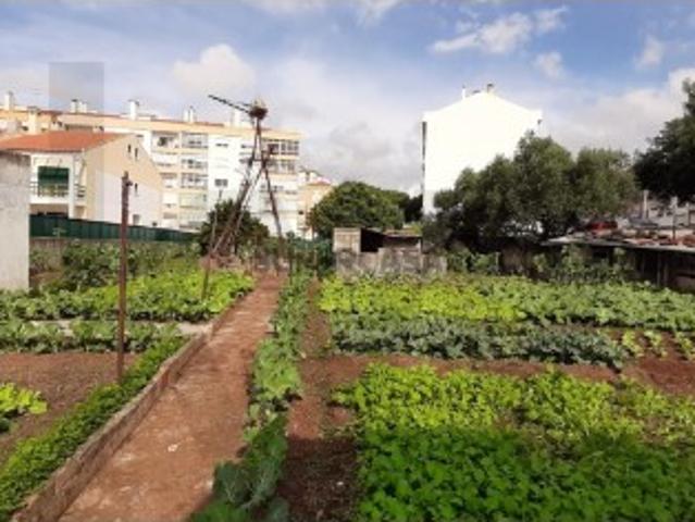 Terreno venda em Sintra, Lisboa