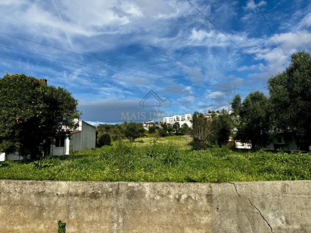 Terreno venda em Coimbrã, Ceira