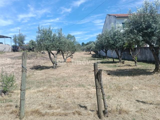 Terreno venda em Chamusca, Santarém