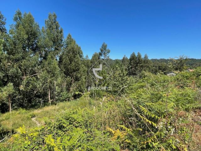 Terreno venda em Infesta, Viana Do Castelo