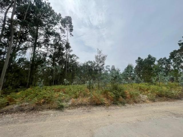 Terreno venda em Oliveira do Bairro, Aveiro