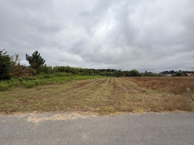 Terreno venda em Oliveira Do Bairro, Aveiro