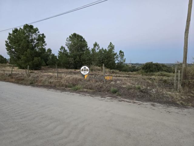 Terreno venda em Castelo Branco