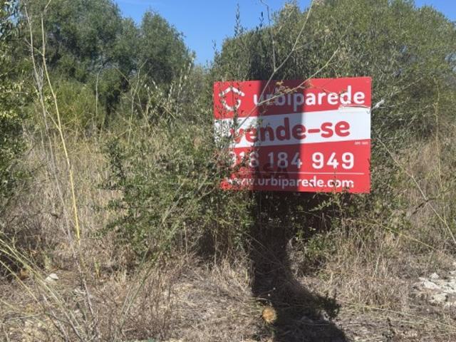 Terreno venda em Cascais, Lisboa