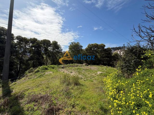 Terreno venda em Amarante, Porto