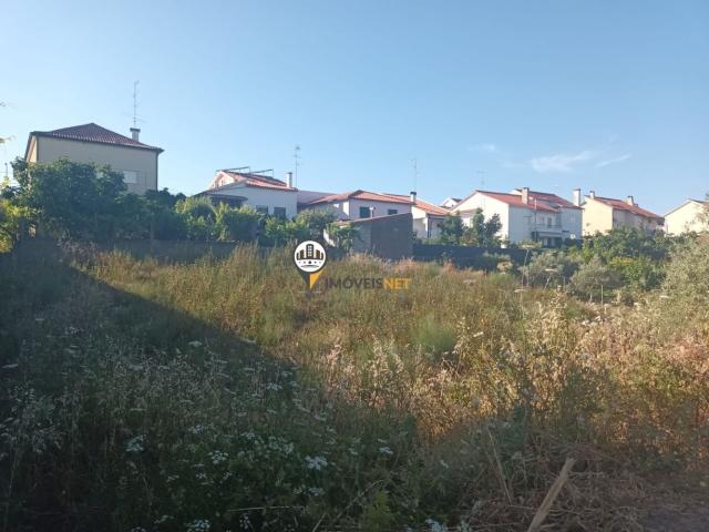 Terreno venda em Castelo Branco