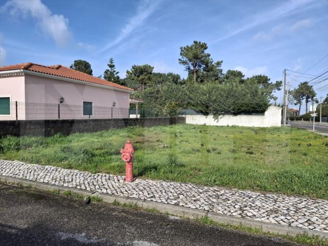 Terreno venda em Azeitão (São Lourenço e São Simão), Setúbal