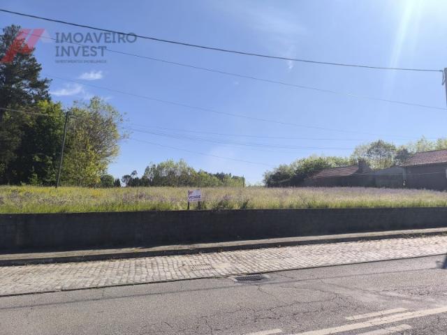 Terreno venda em Oliveira Do Bairro, Aveiro