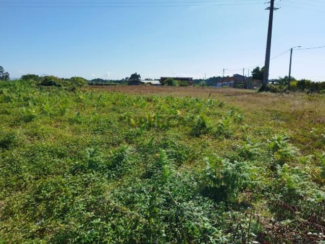 Terreno venda em Oliveira do Bairro, Aveiro