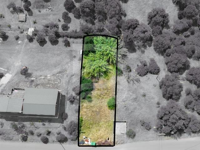 Terreno venda em São Bartolomeu De Messines, Faro