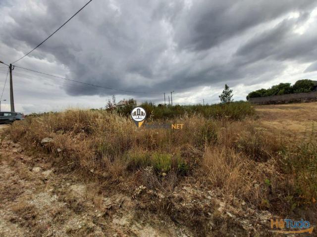 Terreno venda em Castelo Branco
