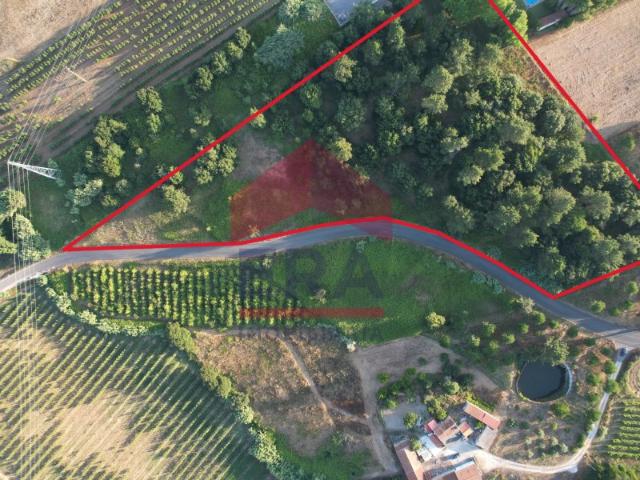 Terreno venda em Caldas Da Rainha, Leiria