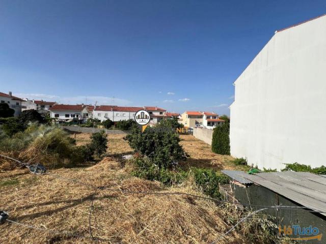 Terreno venda em Castelo Branco