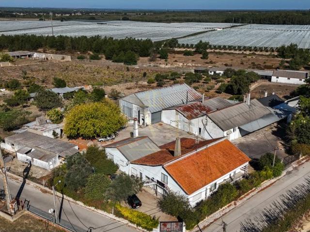 Quinta venda em Judia, Montijo