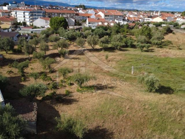 Terreno venda em Alcains, Castelo Branco