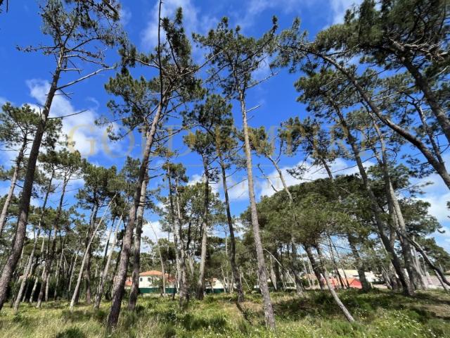 Terreno venda em São Sebastião, Colares