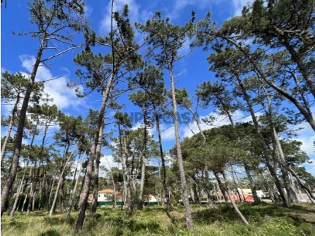 Terreno venda em Sintra, Lisboa