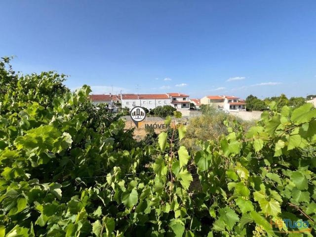 Terreno venda em Castelo Branco