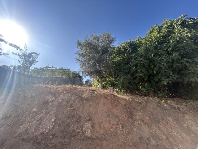 Terreno venda em Abrantes, Santarém