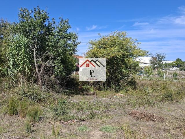 Terreno venda em São Martinho de Árvore e Lamarosa, Coimbra