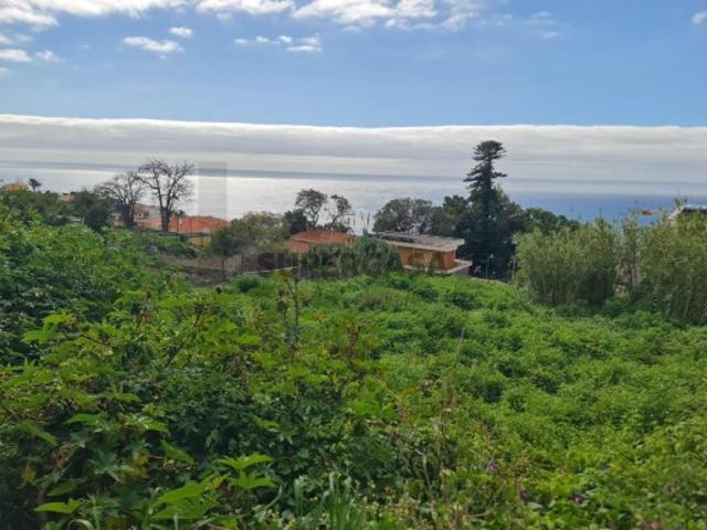 Terreno venda em Zona Velha, Funchal